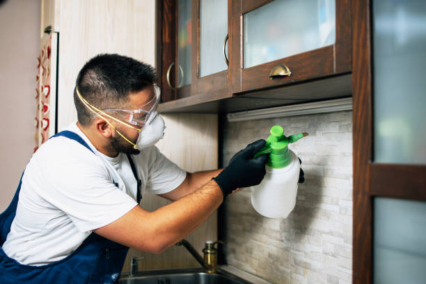 Best Pest Prevention Services  in Myersville, MD