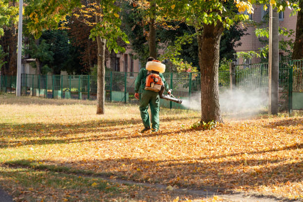 Reliable Myersville, MD Pest Control Solutions