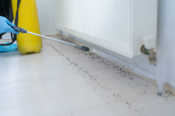  Myersville, MD Pest Control Pros