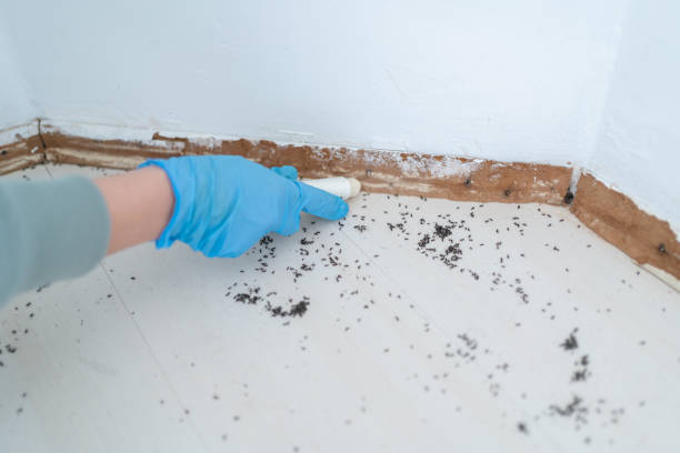 Best Pest Inspection Near Me  in Myersville, MD